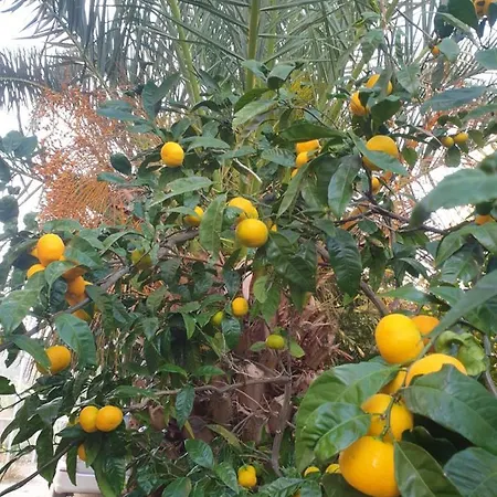 Vitalia Appartement *